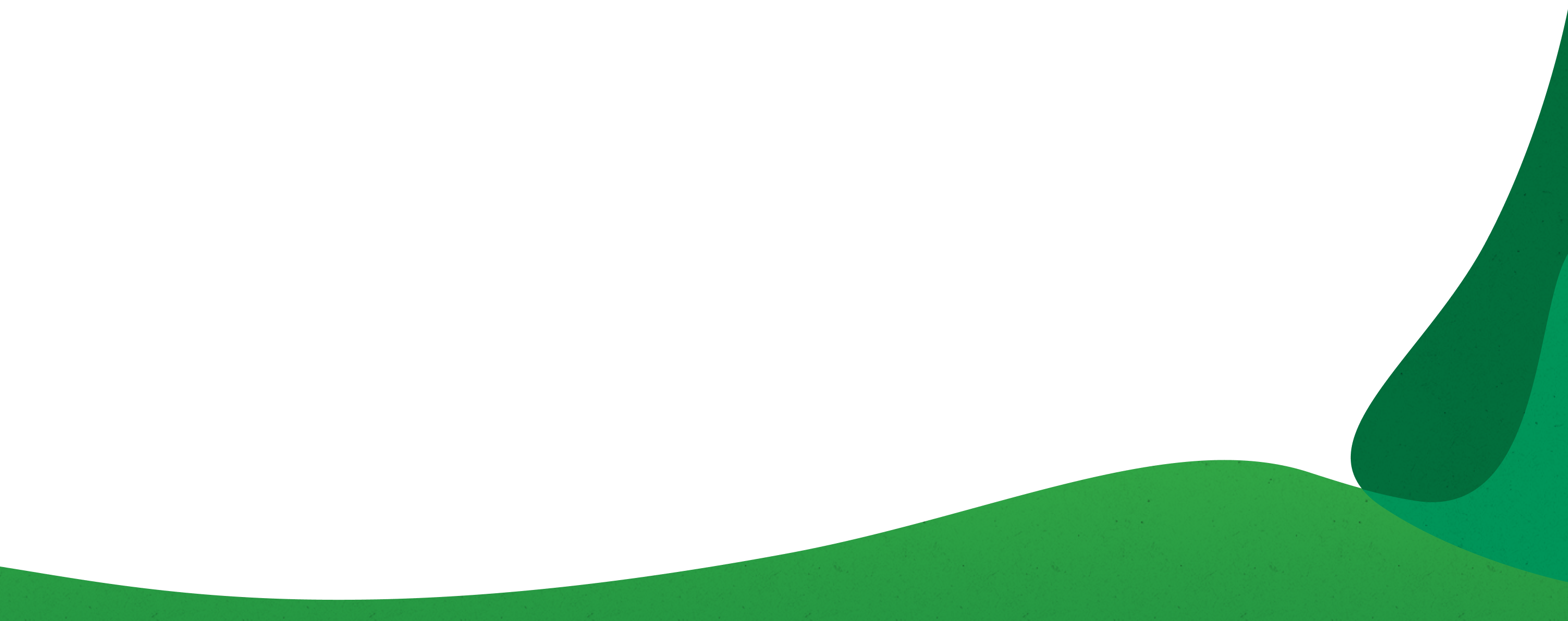 Bronx Zoo 125th Birthday - Bronx Zoo